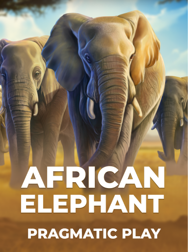 African Elephant